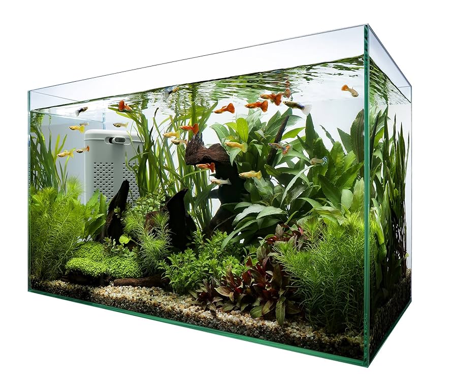 水槽 TAKA Amazon.co.jp: Tetra Glass Tetra Silent Flex Set 60 Aquarium